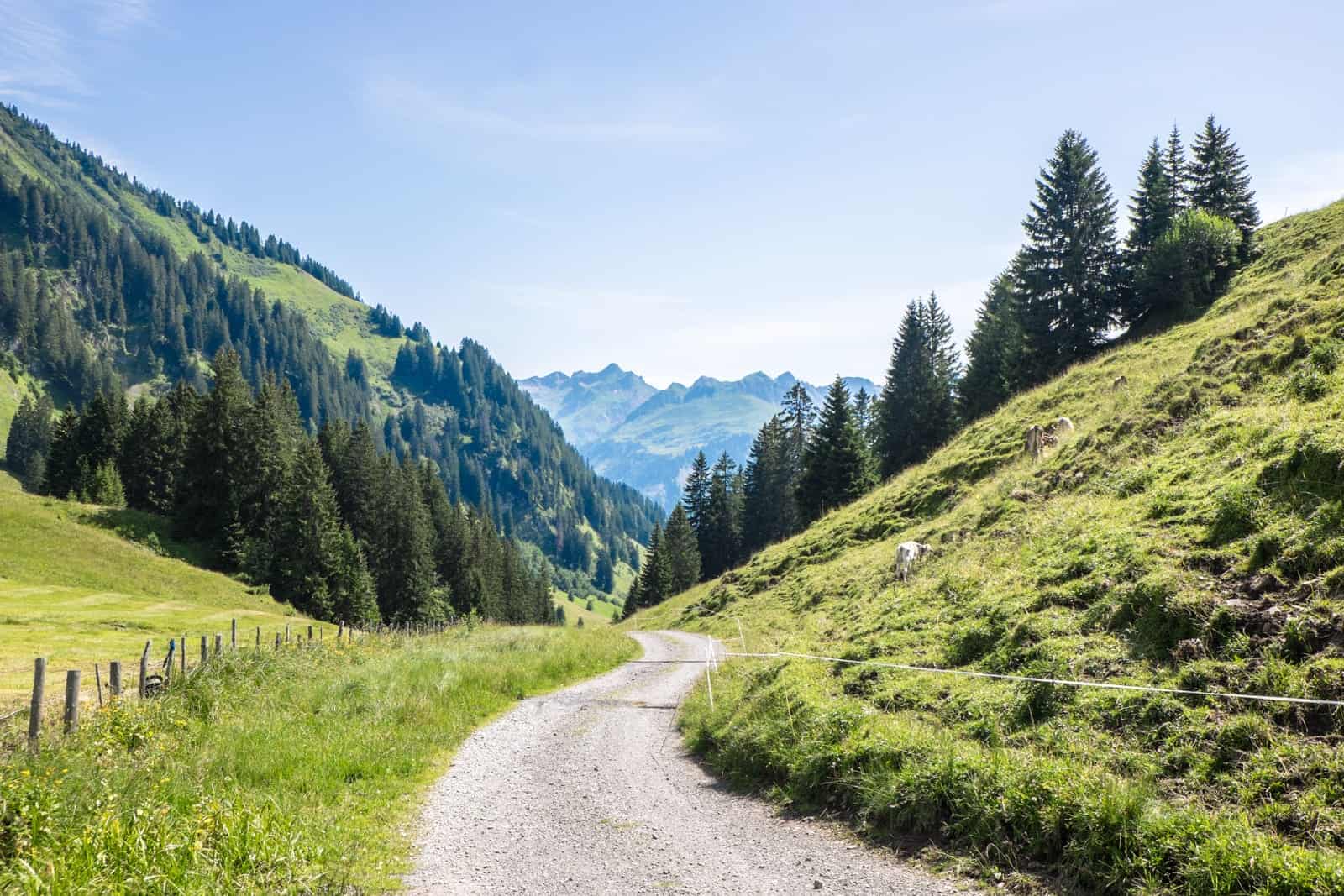 Hiking in Bregenzerwald, Vorarlberg, Austria