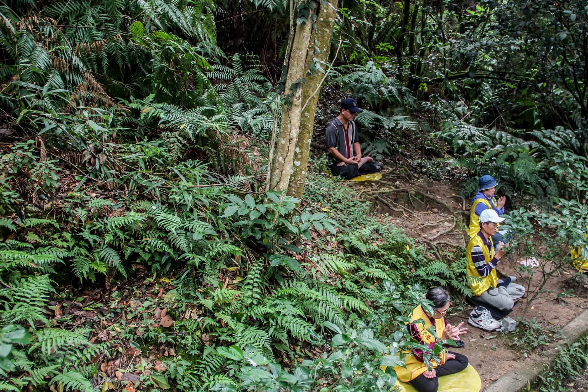 Four people with yellow clothing meditating on the slope of a forest in Taiwan. 