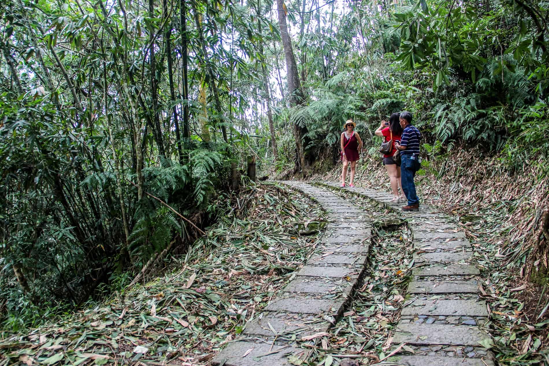 Three people stop for a photo on a paved trail through woodland surrounding a lake in Taiwan. 