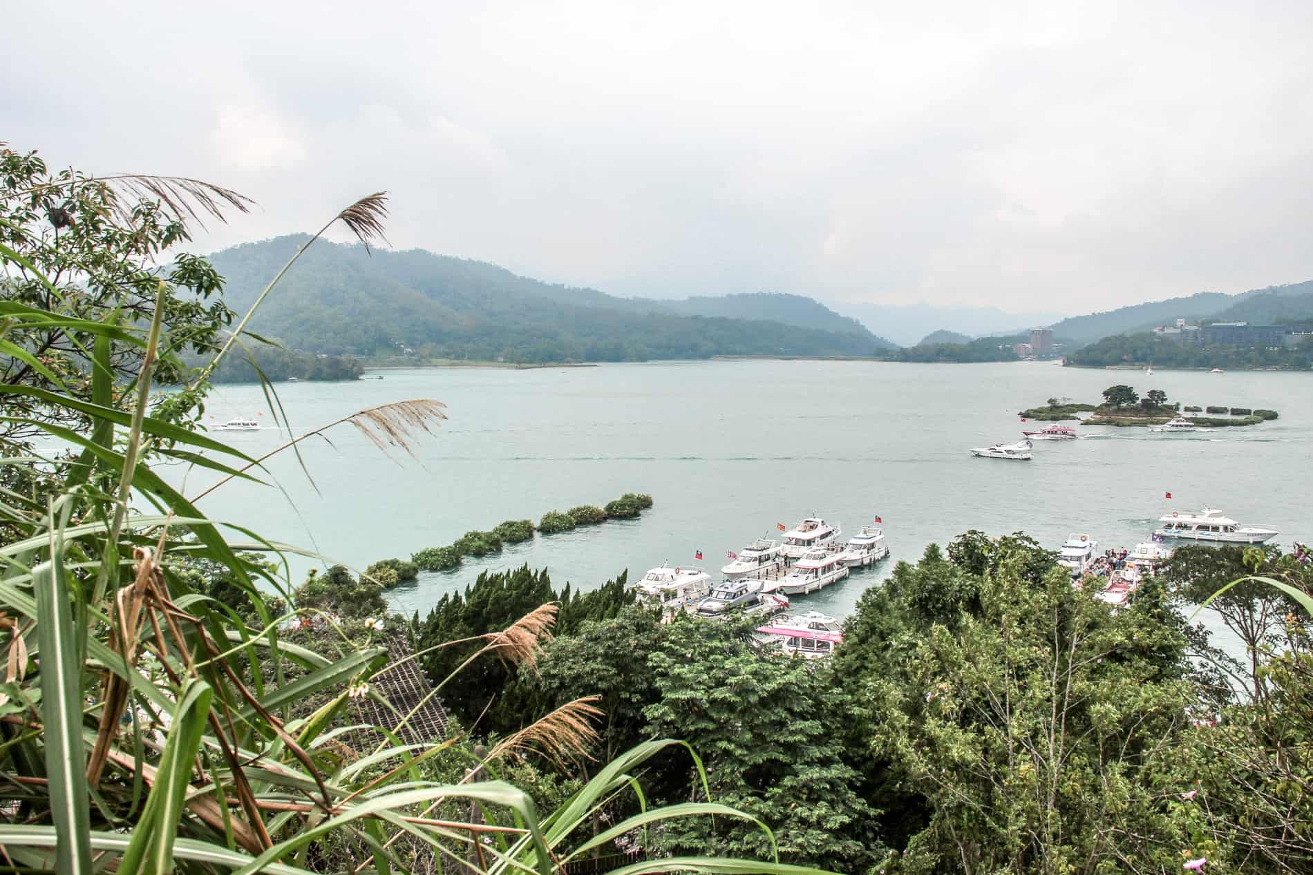 Foliage view of moored white boats on the wide turquoise waters of Sun Moon Lake in Taiwan. 