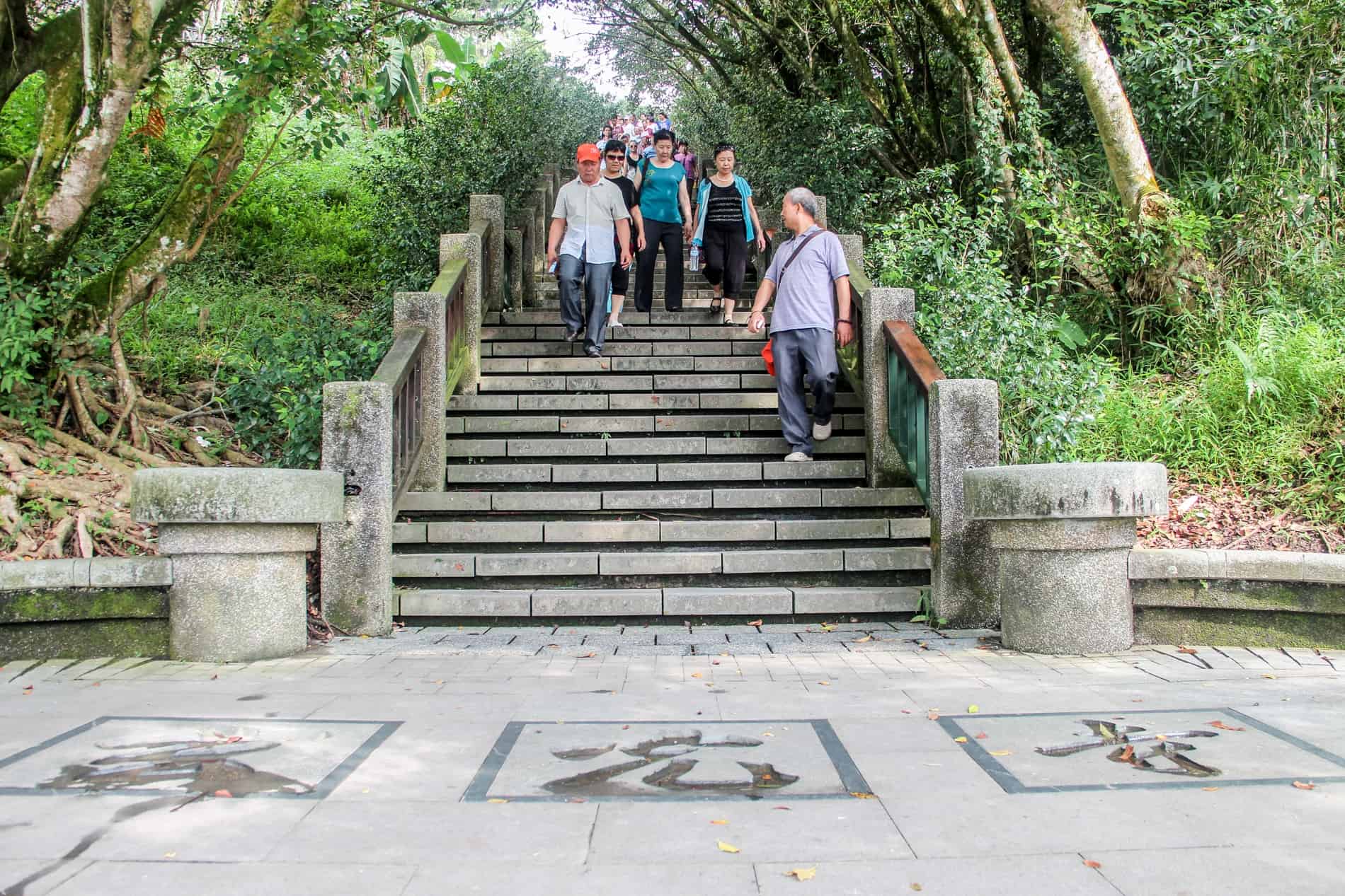 A group of visitors walking down stairs in a woodland. Chinese characters can be seen on the paving stones at the bottom. 
