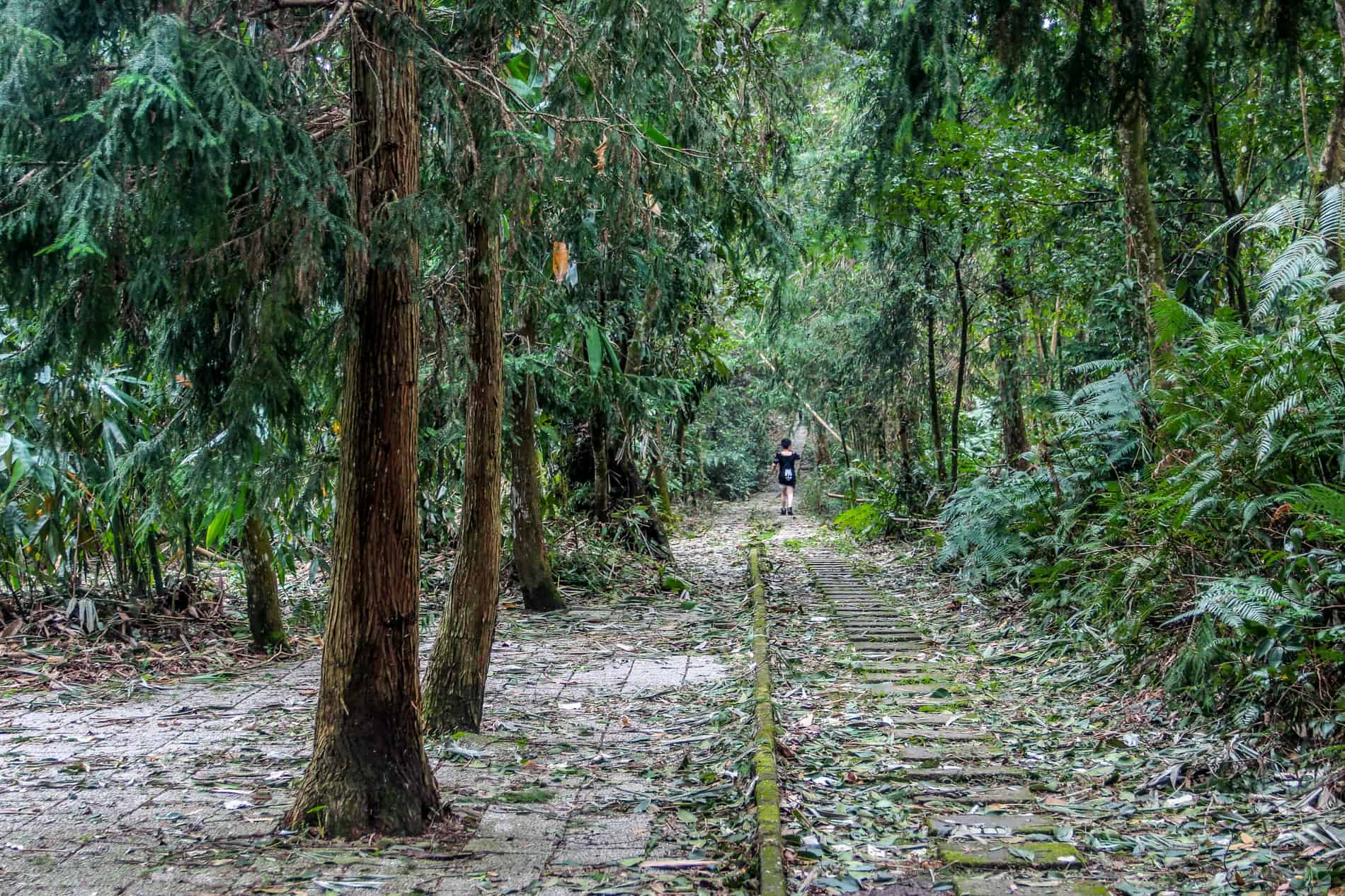 A woman walks on a a paved trail in a forest on Sun Moon Lake in Taiwan. 
