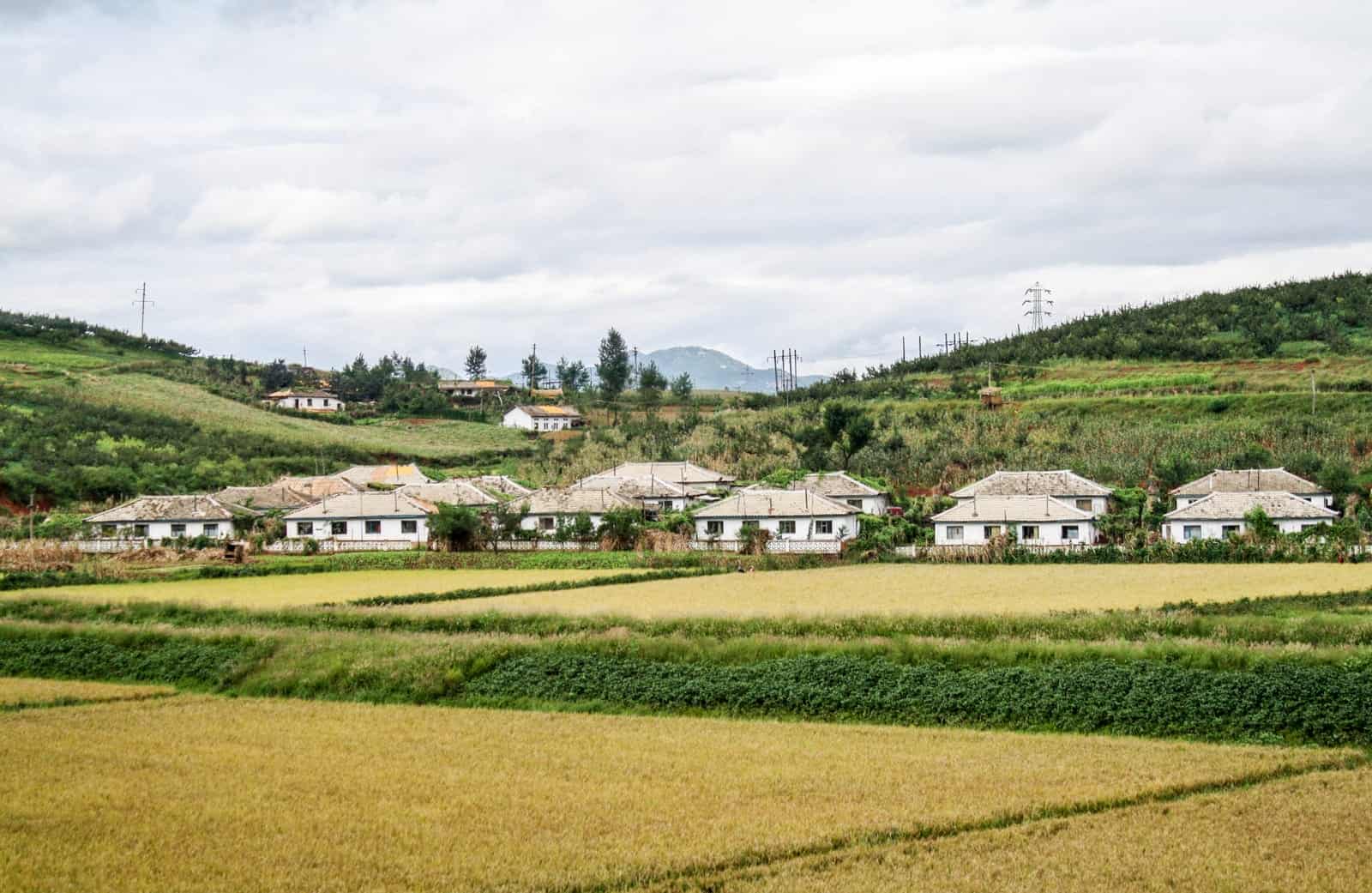 A working farm in North Korea - a side tourists get to see when they visit DPRK