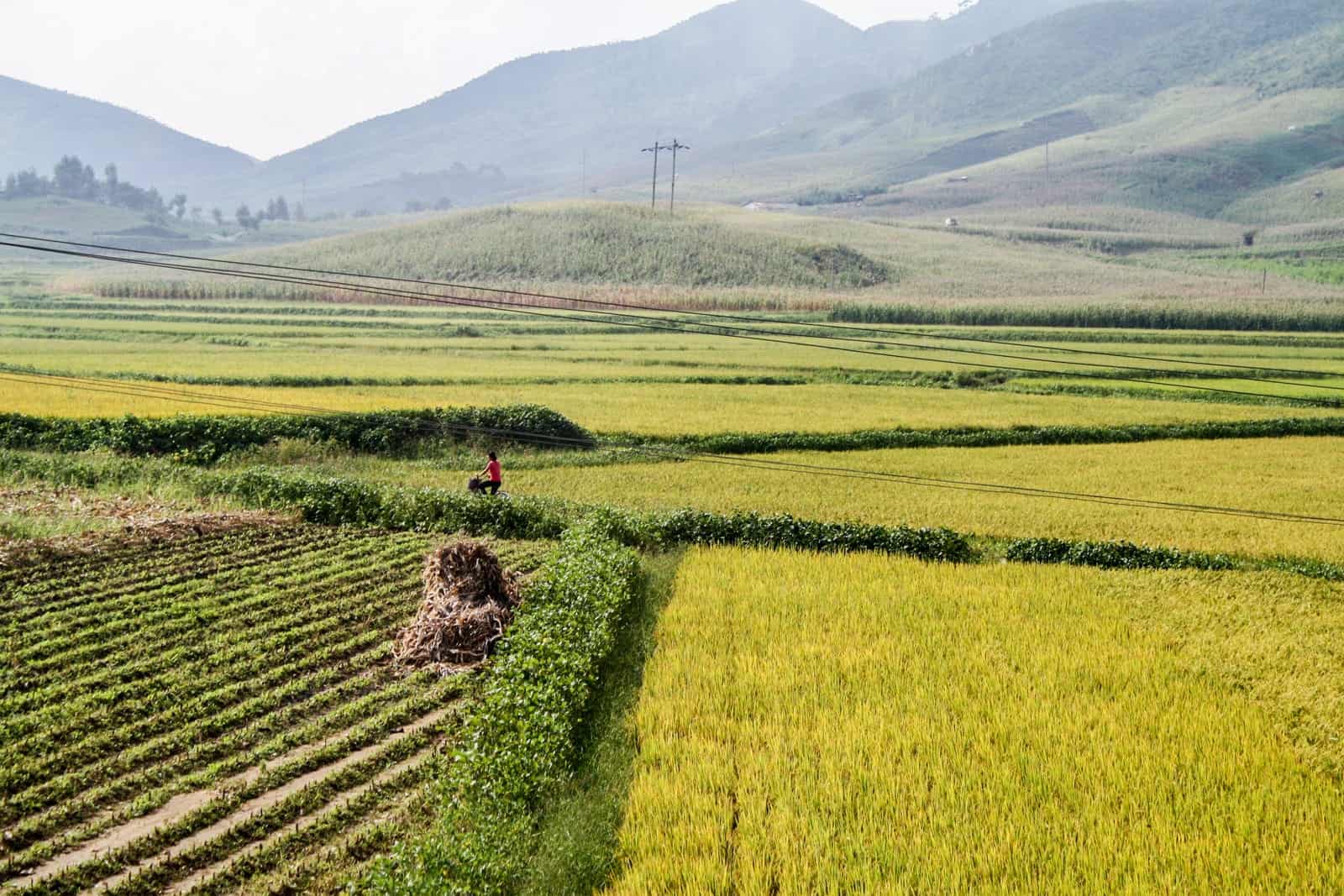 The countryside in North Korea, which tourists get to see on a tour
