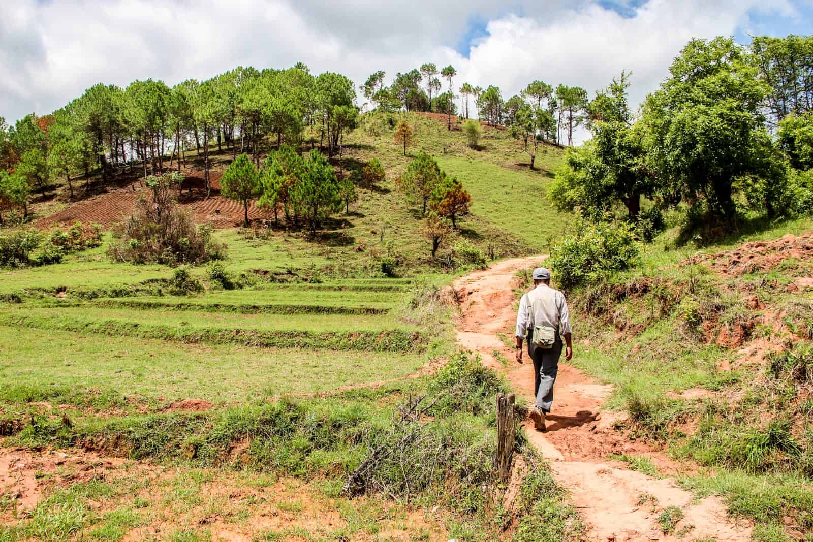 A male guide leads a group through rural Myanmar on an orange dirt road that cuts through rolling hills of green - part of a hike from Hsipaw to Kalaw in Myanmar
