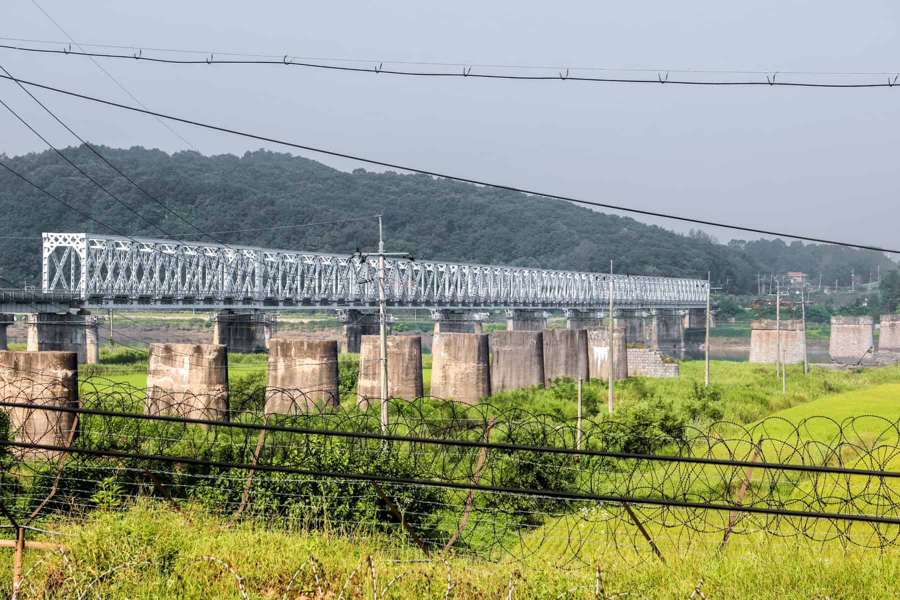 The gleaming metal Friendship Bridge of Korea, build over the foliage of the DMZ area, intended to connect North and South Korea. 