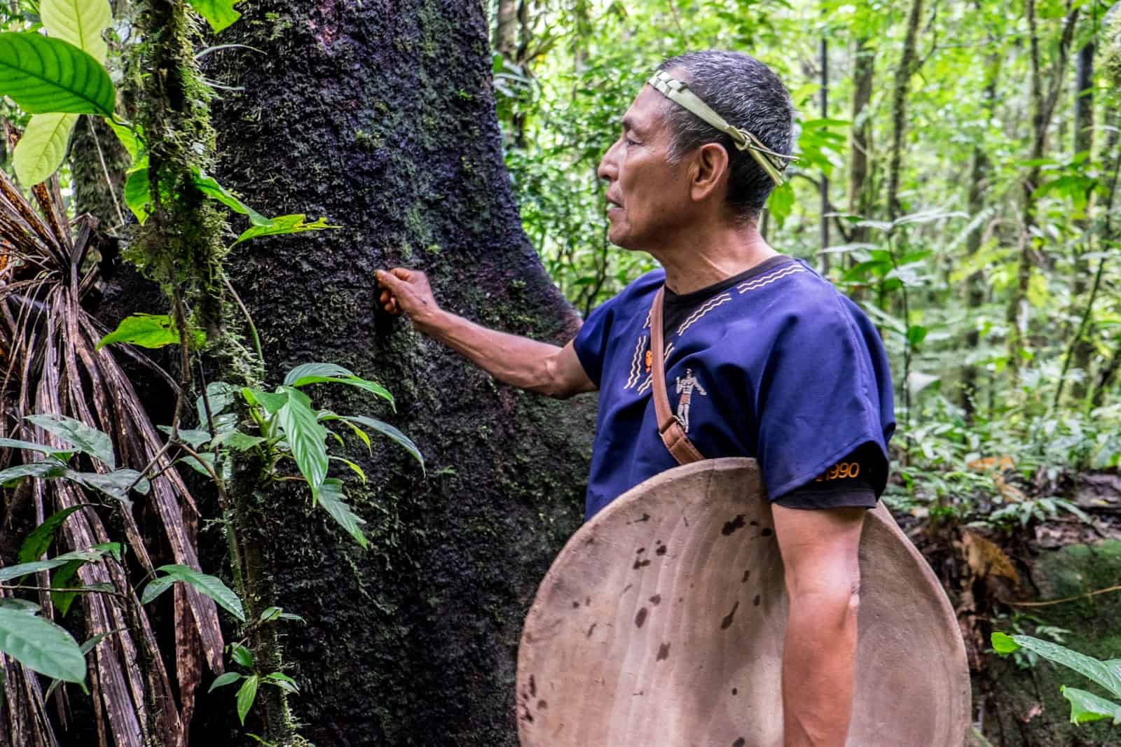 A man in a blue shirt and wearing a headband made from plants, carries a large wooden bowl while touching a tree, during a jungle walk in the Ecuadorian Amazon Rainforest. 