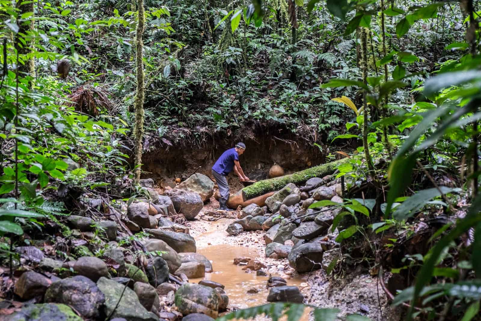 A man in a blue shirt at the end of a rocky mud clay river in the Ecuador Amazon jungle.