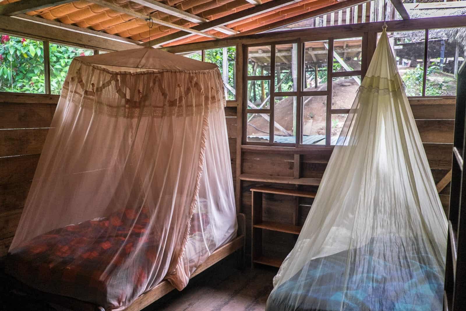 Two beds in a wooden hut, each with a mosquito net attached from the ceiling, with windows looking out to the green of the Amazon jungle. lEcuador Amazon lodge bedroom