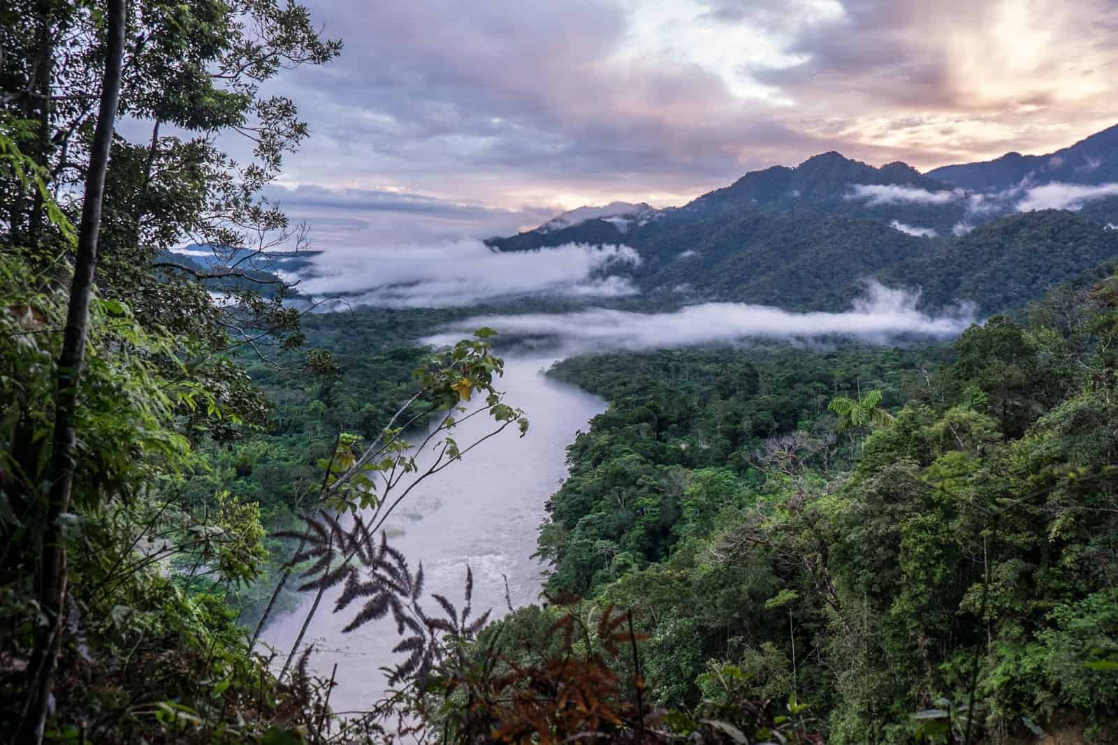 Jungle and river landscape of the Ecuador Amazon Rainforest, covered in low lying cloud mist.