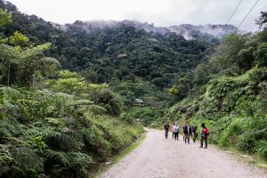 A small group of people walking on a pathway through the high, thick, lush jungle of the Ecuador Amazon Rainforest.