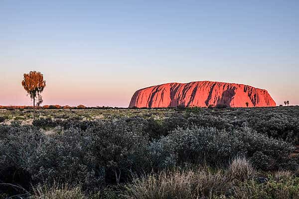The orange Uluru rock in Australia in the glow of sunrise. 