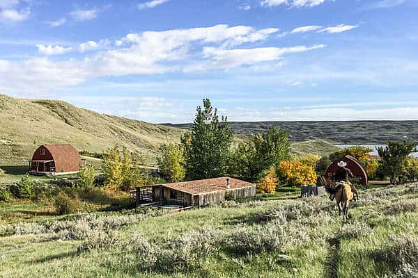 A cowboy rides his horse through a ranch in the green prairies of Canada. 