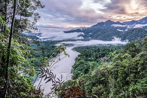 Jungle and river landscape of the Ecuador Amazon Rainforest, covered in cloud mist.