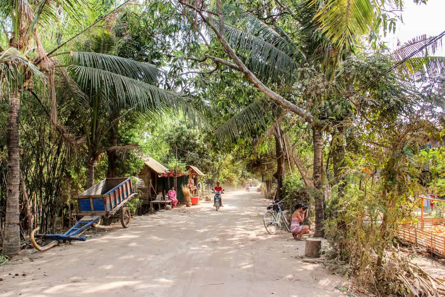 A man rides a motorbike on a road through thick jungle forest, passing stalls, carts and people.