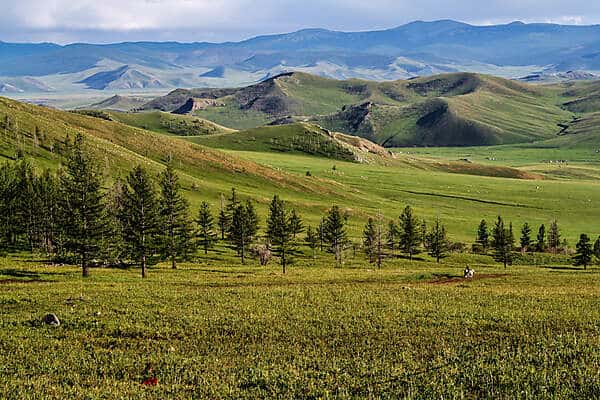 A layering on tree-dotted flat land, green sloping hills and low-lying mountains in Mongolia. 