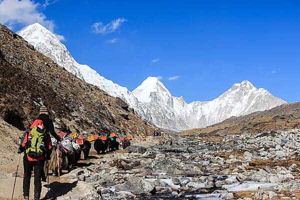 Two trekkers behind a line of yaks on a dusty path past a wide rocky scree on the Everest Base Camp Trek towards white mountain ranges. 