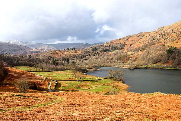 Leaf covered green pastures and rolling hills next to a lake in England. 