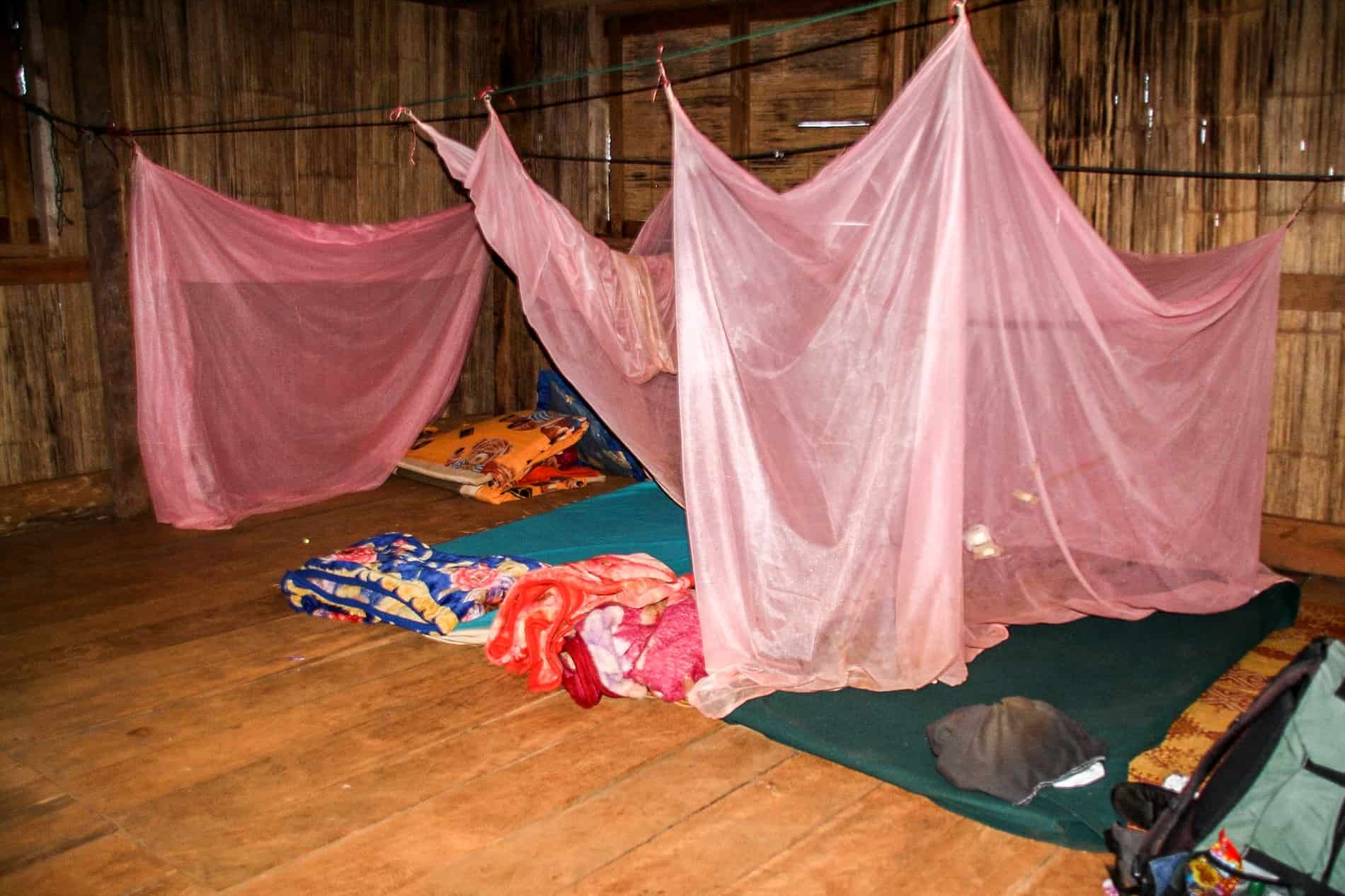 Sleeping mats on a wooden floor under pink mosquito nets in a bamboo hut. 