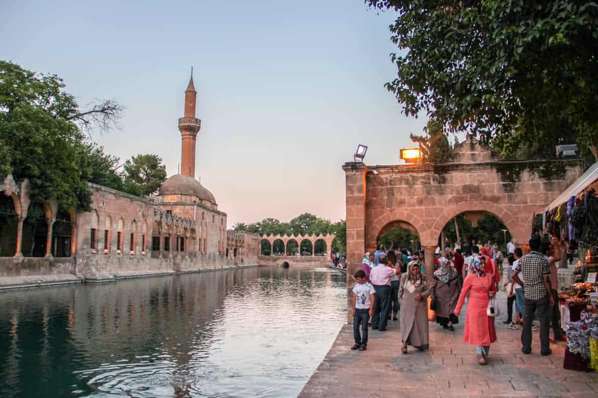 Holy fish lake in Urfa, Turkey