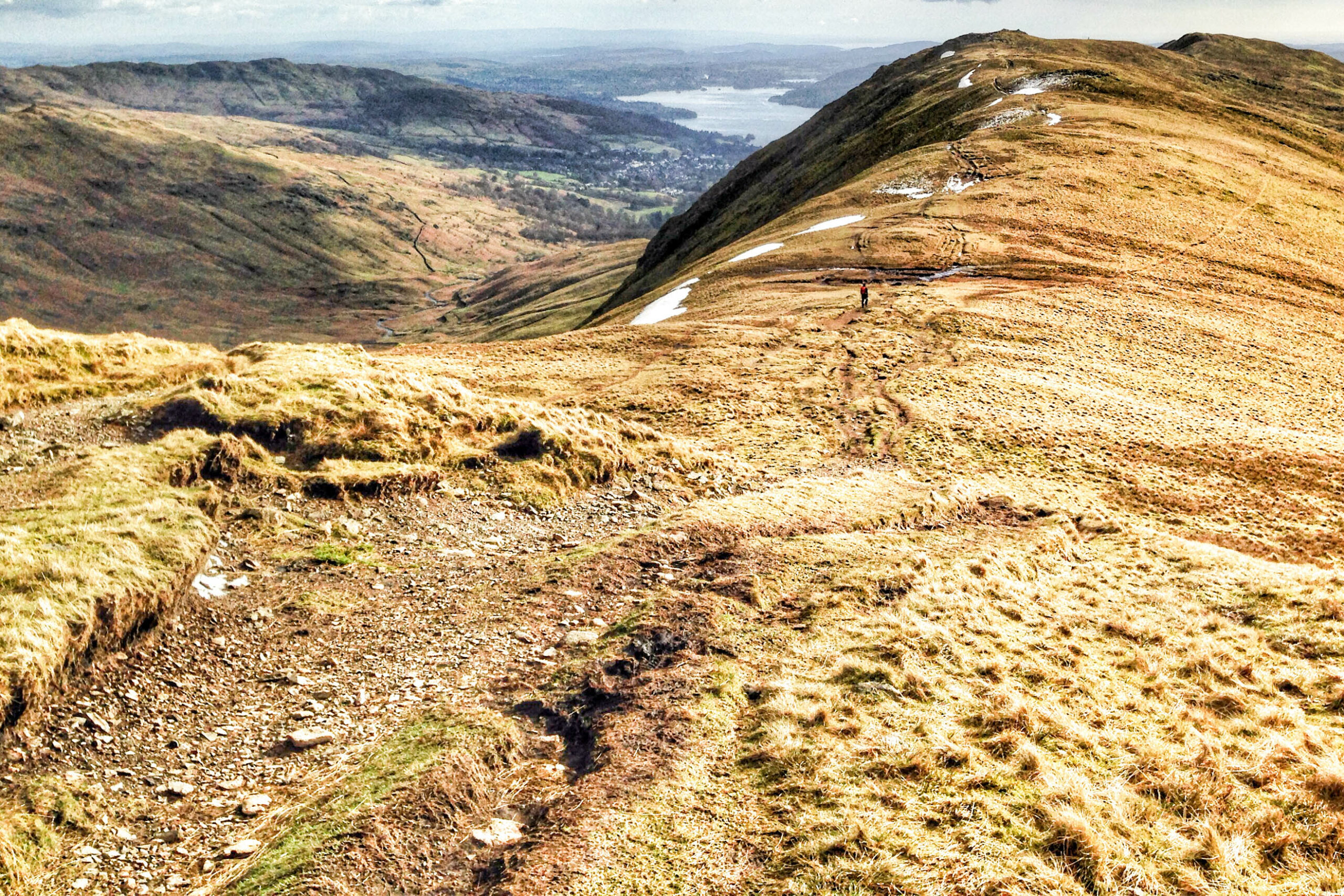 A tiny figure walking on a great expanse of dry, yellowed foliage on a huge hill in the Lake District.