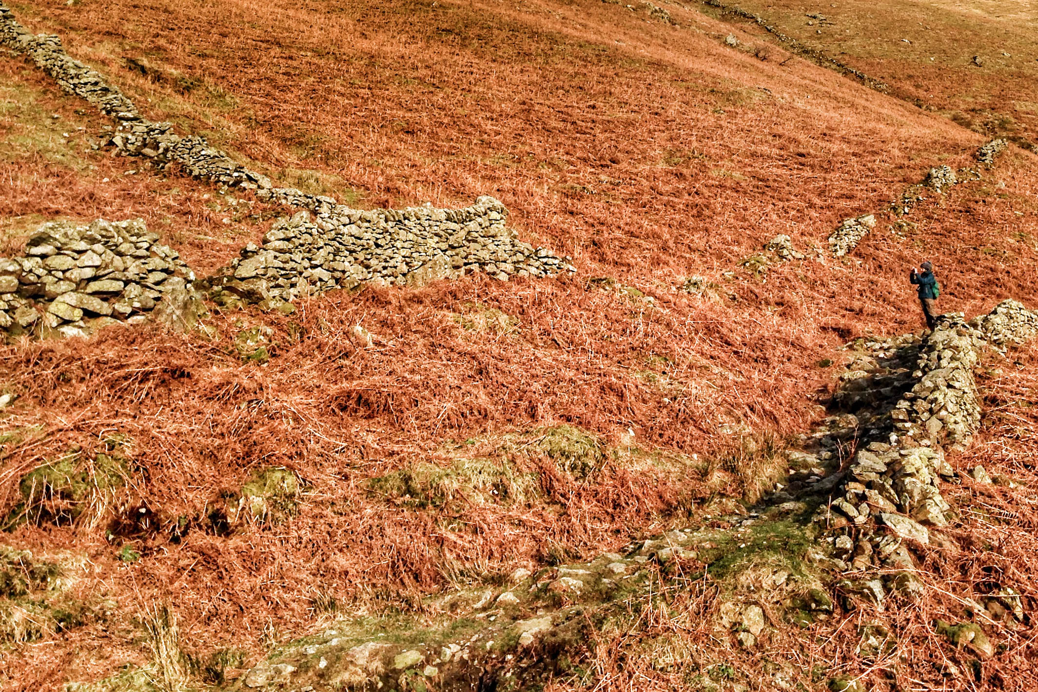 A man, tiny in comparison to the nature surrounds, stands on a rocky wall taking a picture of the ochre coloured foliage and rock mounds.