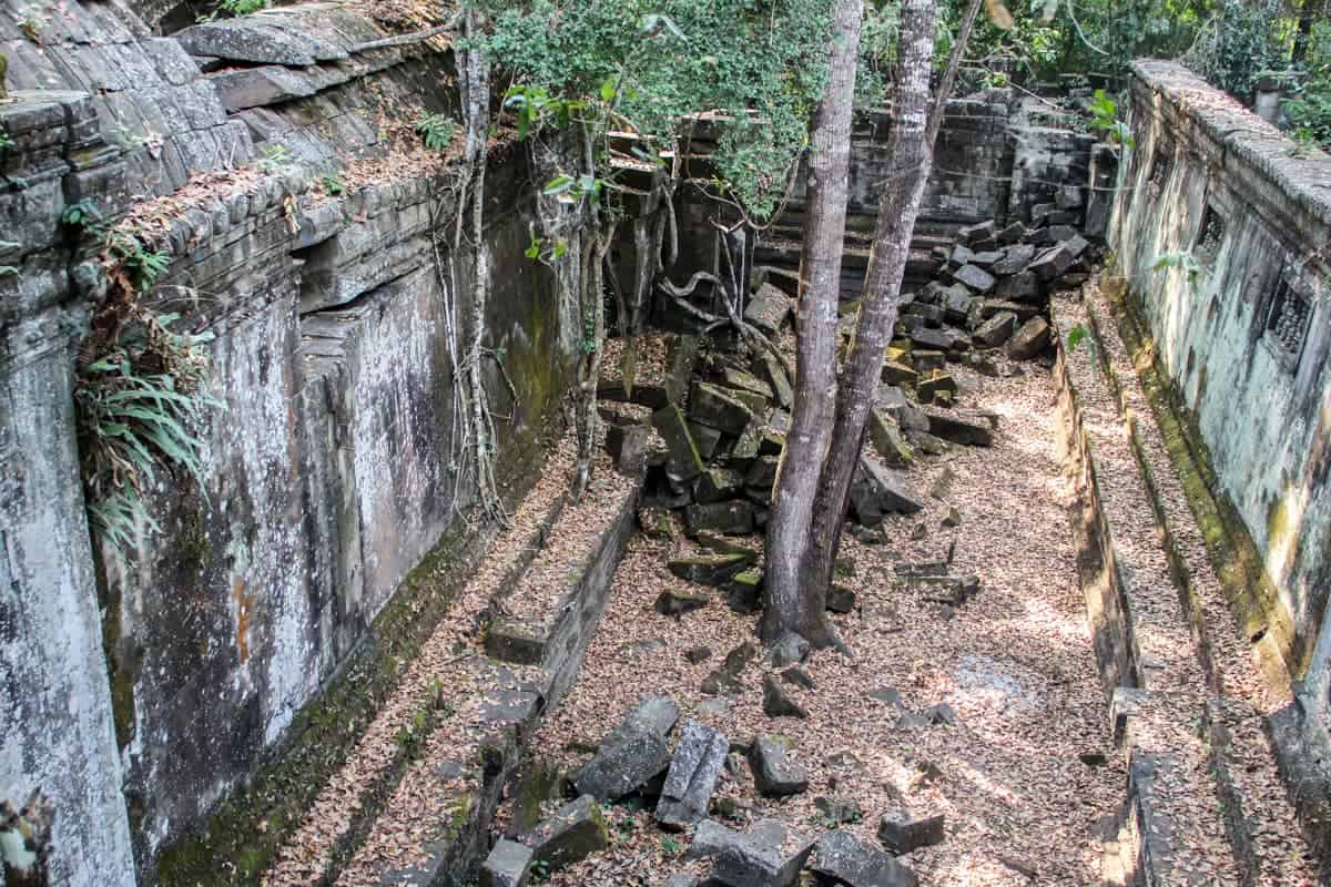 Una vista elevada de una larga sala rectangular del templo de Beng Mealea, donde un árbol alto se ha levantado del suelo y ha superado el espacio.