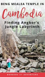 A large tree trunk and roots cuts through the rubble and large stones of the ancient jungle temple of Beng Mealea in Cambodia