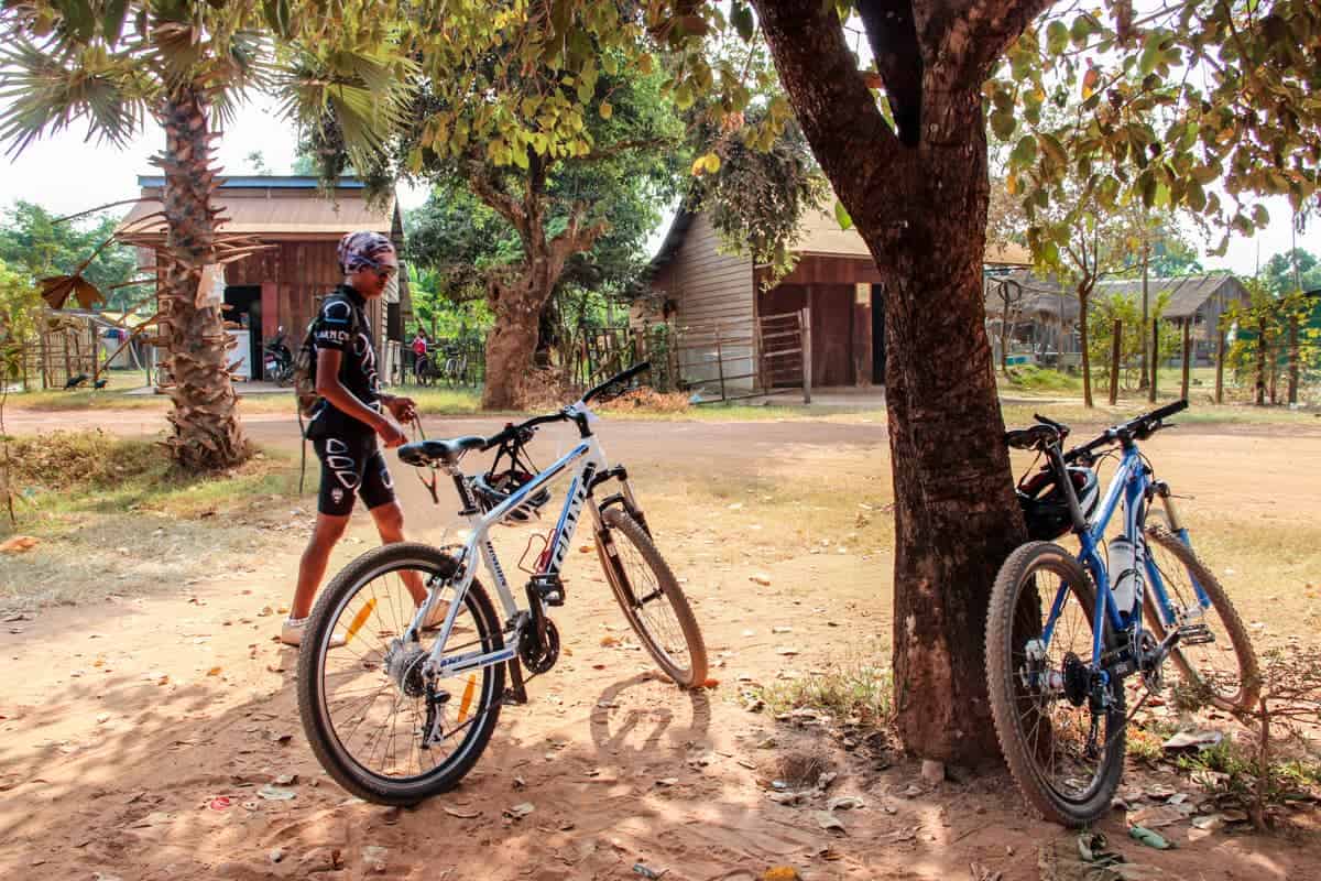 Two bikes under the shade of a tree with wooden village houses in the background