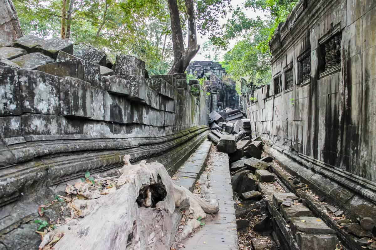 Inside the Beng Mealea temple complex where trees have broken through the stone floors and wall stones still remain in the same place as they fell, untouched