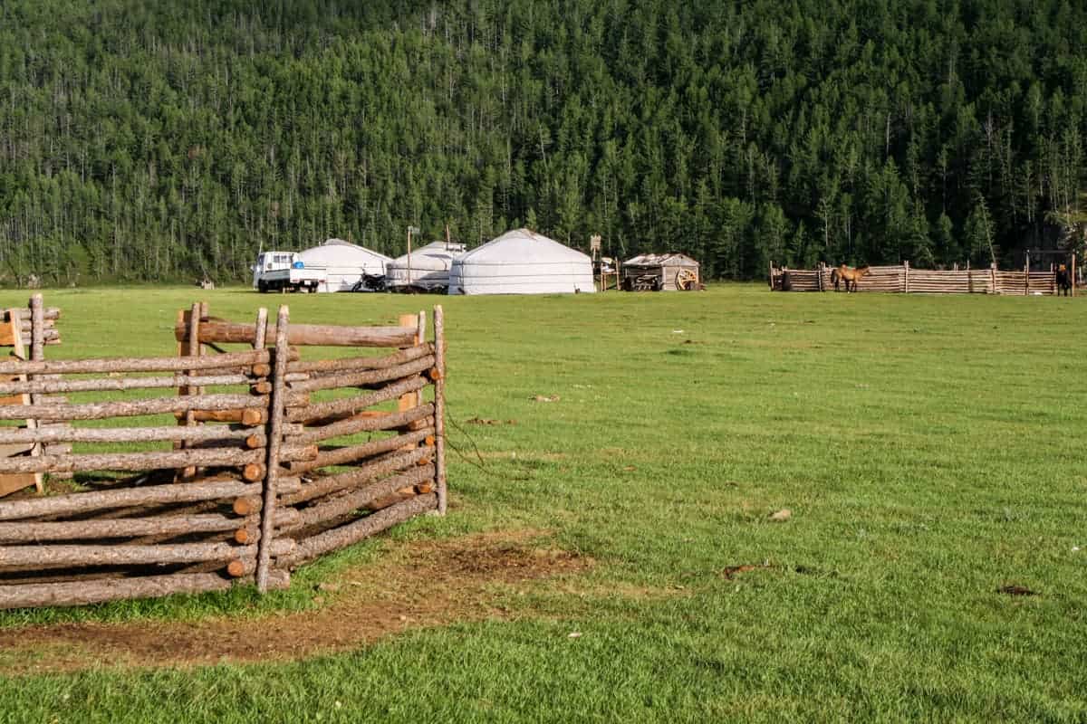 The farmland area outside a Mongolian ger family home in a woodland area of Mongolia