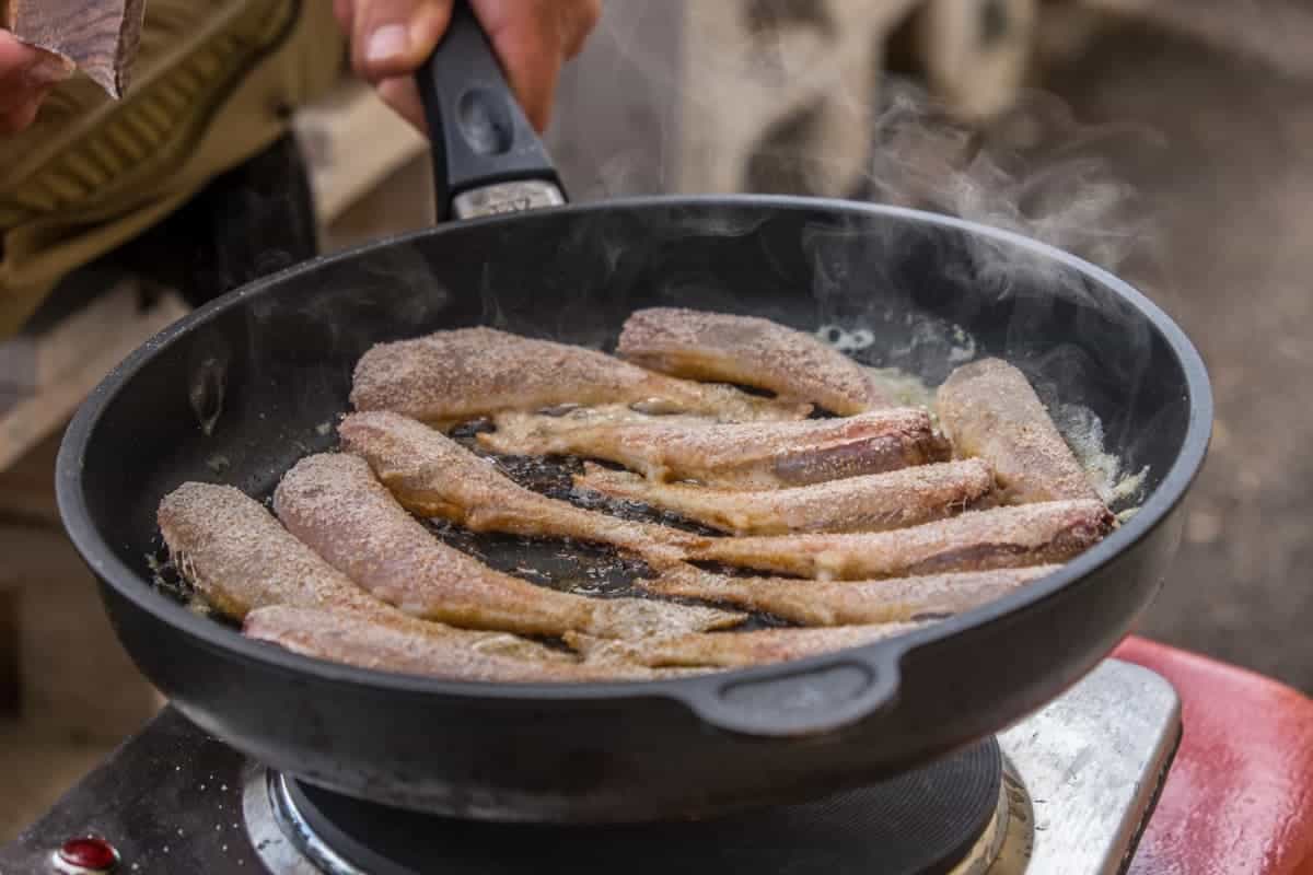 Cooking freshly caught perch with Māris Olte in Ergli, Latvia