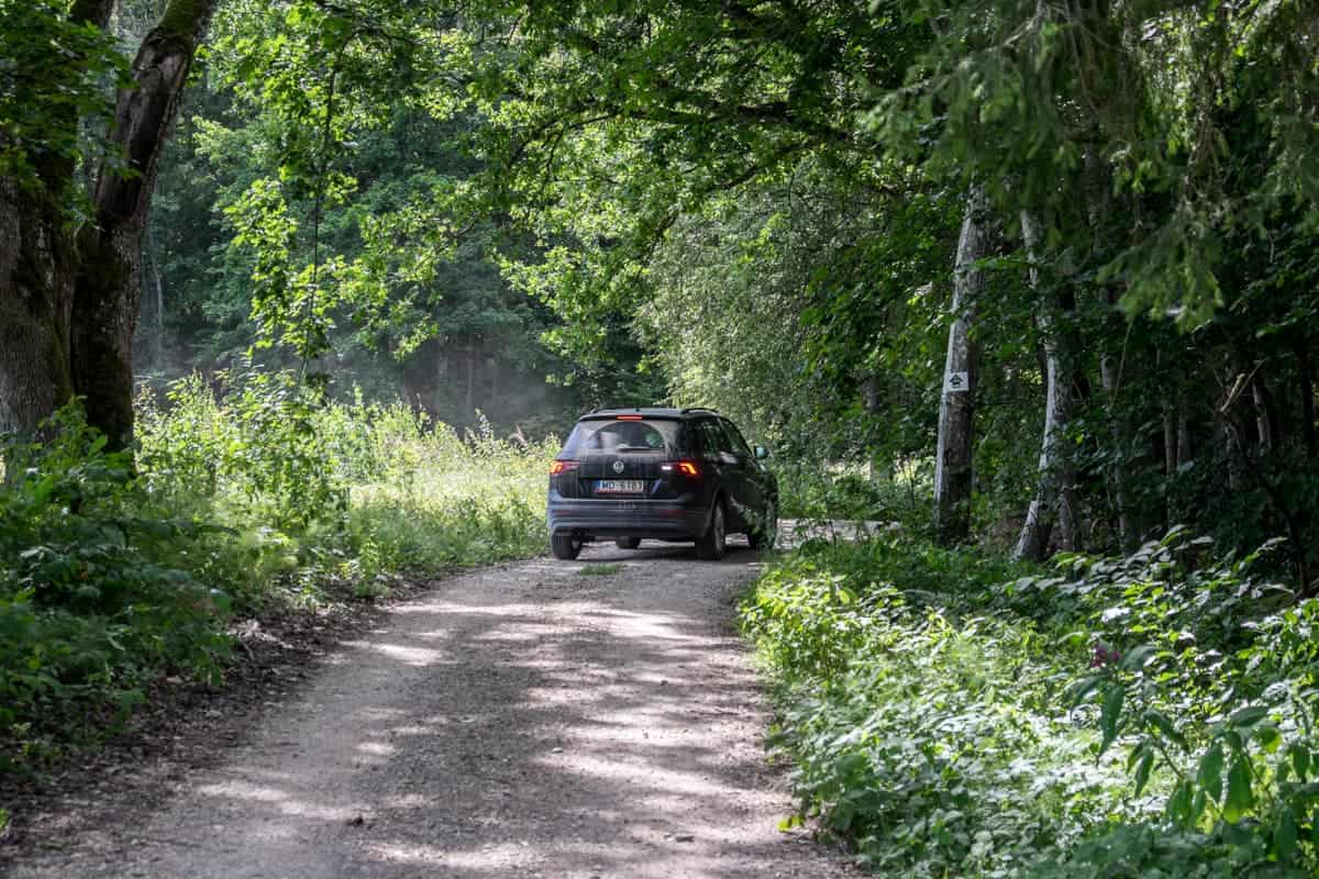 Driving in the forest of Gauja National Park Latvia 