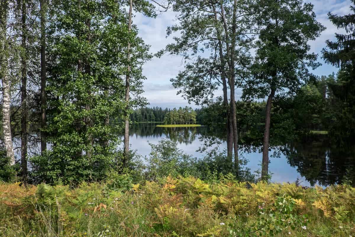 Vista desde el borde del camino del lago Asaru Ezers con su pequeña isla llena de árboles en el Parque Nacional de Gauja Letonia