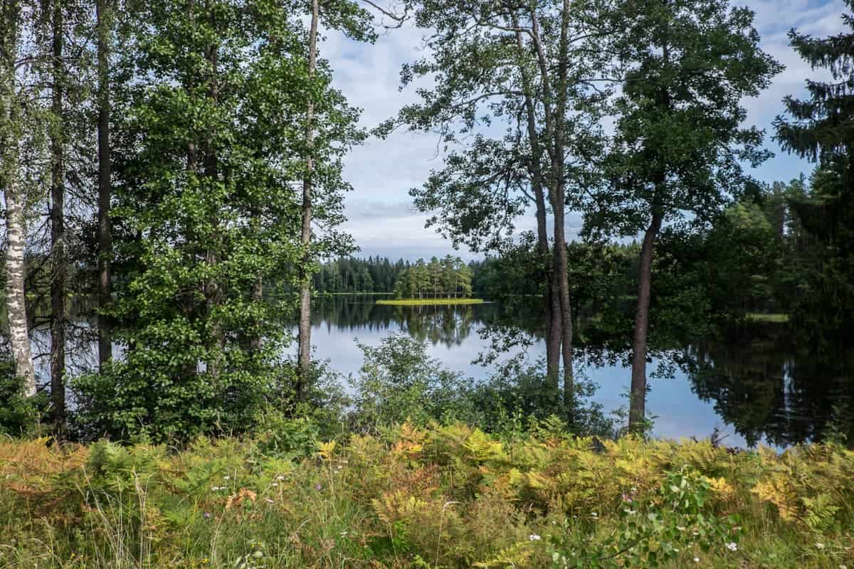 View from the roadside of Lake Asaru Ezers with its tiny tree-filled island in Gauja National Park Latvia