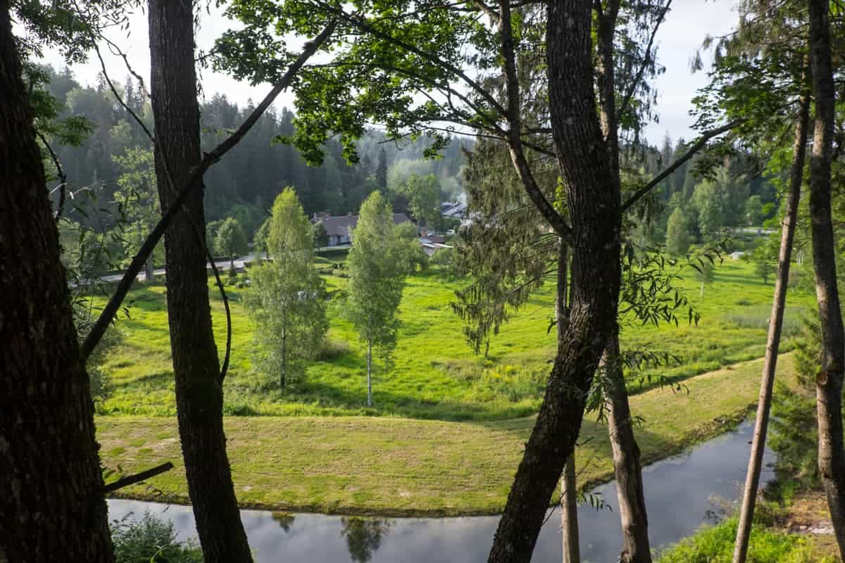 A small river and open forest area as seen from inside dense woodland in Ligatne, Gauja National Park Latvia