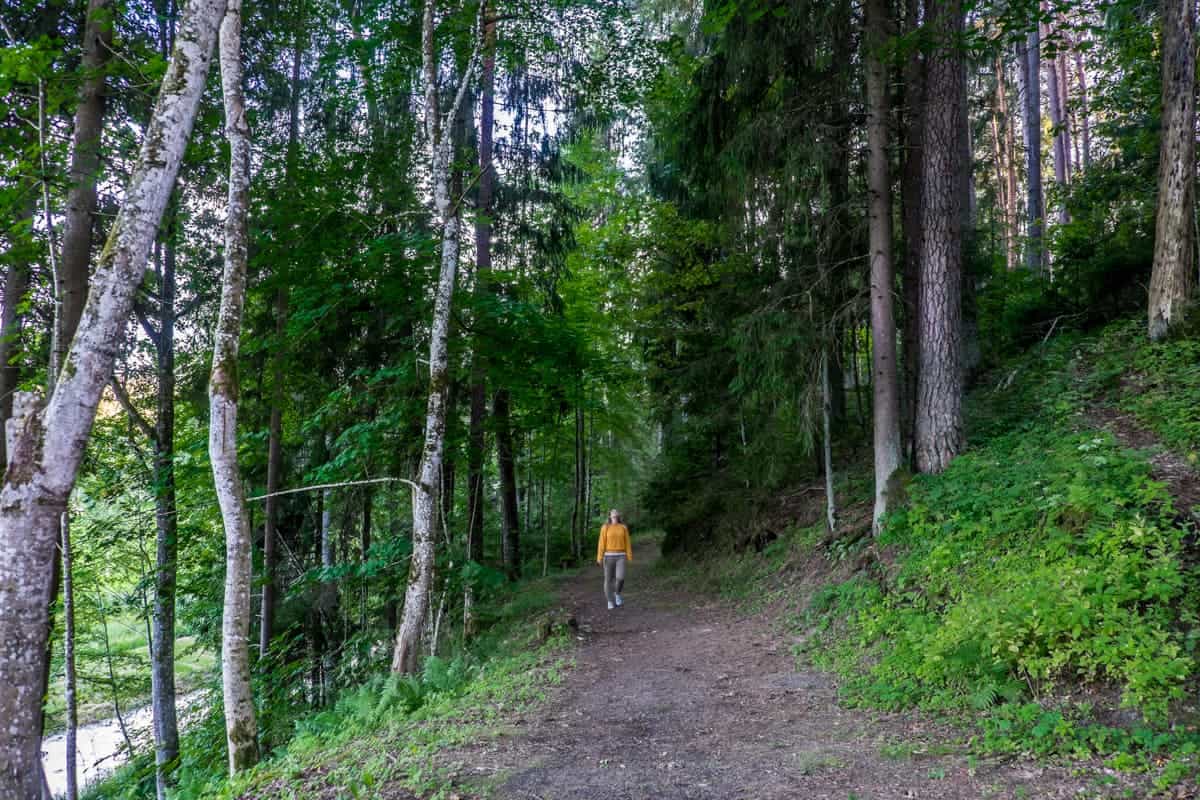 Woman on part of the Ligatne Nature Trails Gauja National Park Latvia