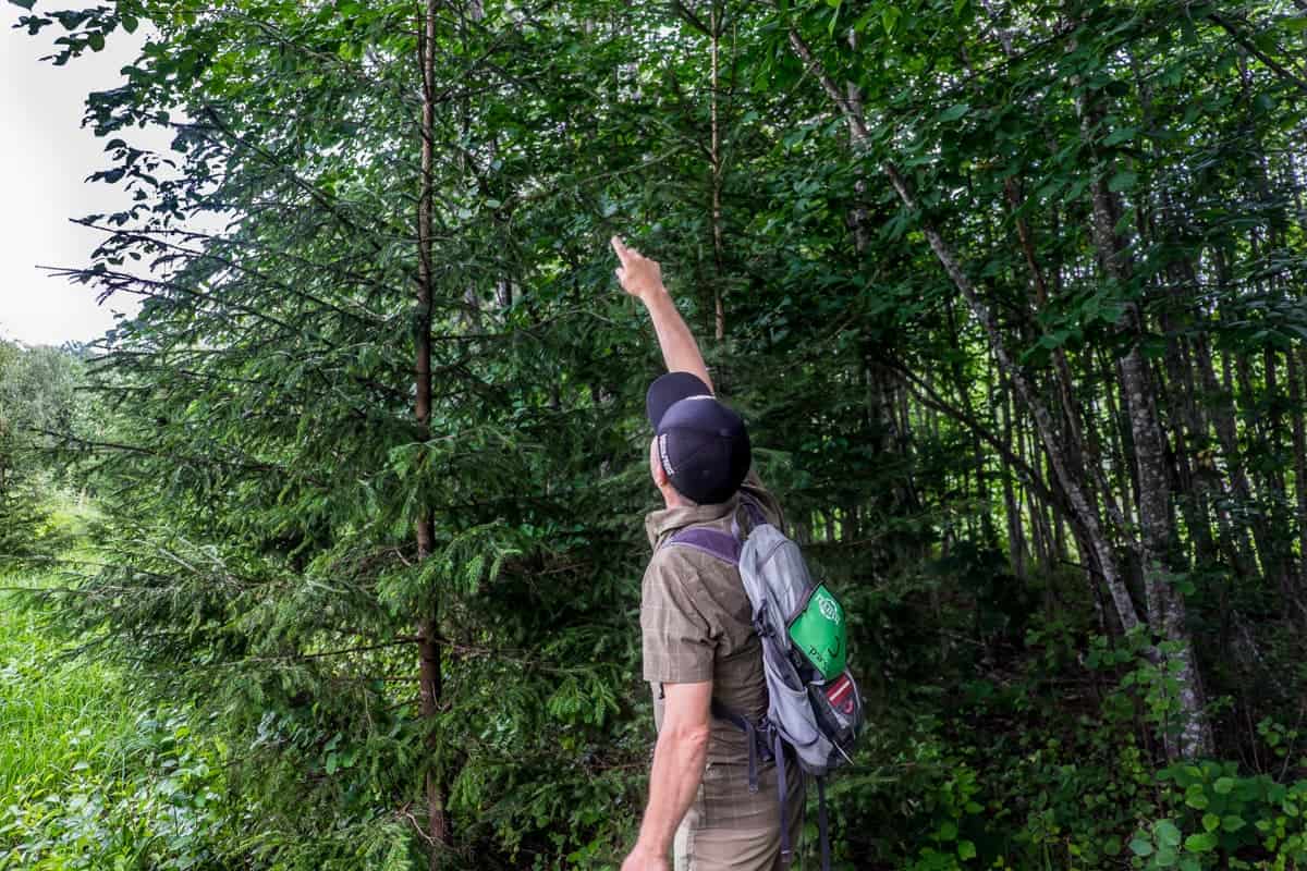 Famous Latvian nature expert, Māris Olte gives a tour in the countryside of Ergli, Latvia