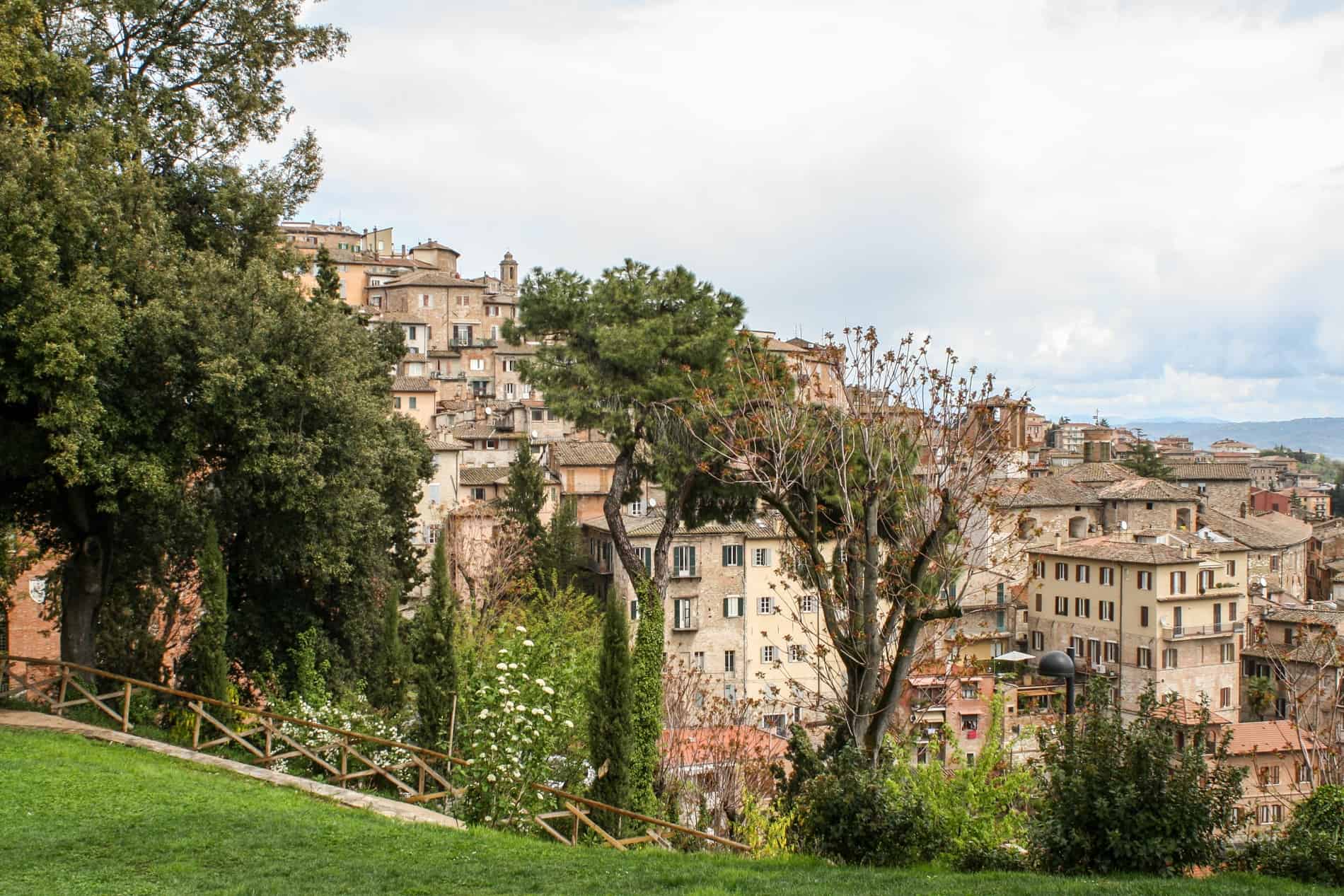 View from a green slope overlooking the stone old town of Perugia set on a hill.