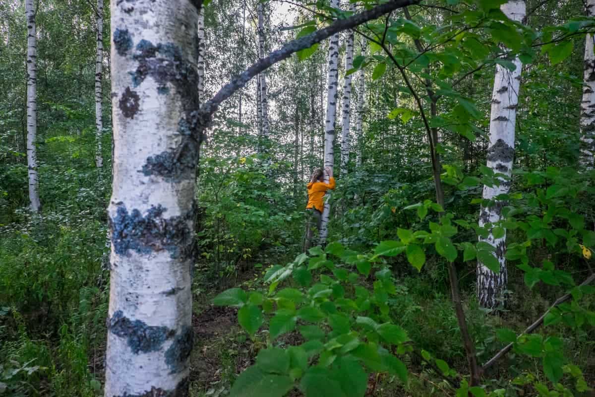 A woman tree hugging in a forest found on the Latvia Grand Oaks Hike