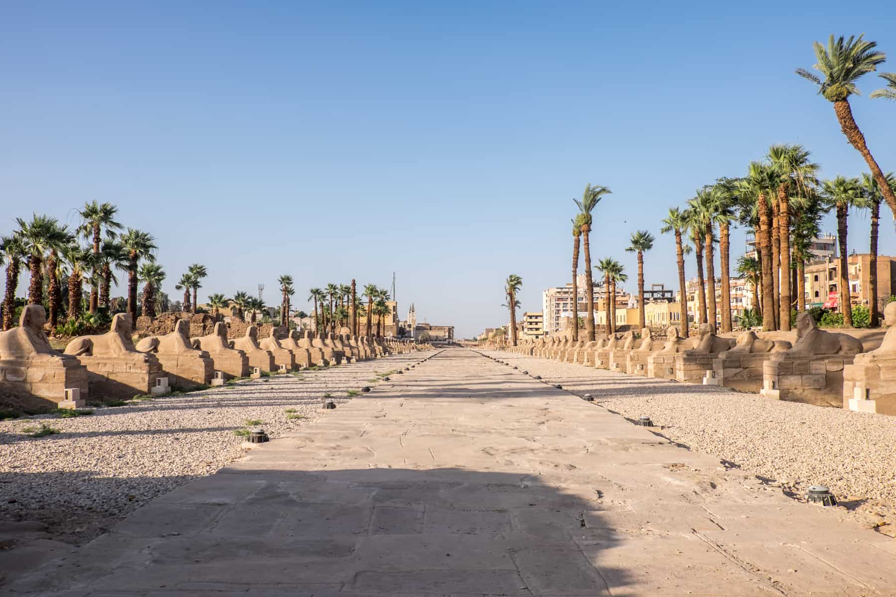 The wide avenue known as Sphinx Alley because of all the small Sphinx statues that line either side of it, connect the Luxor and Karnak temples in Egypt