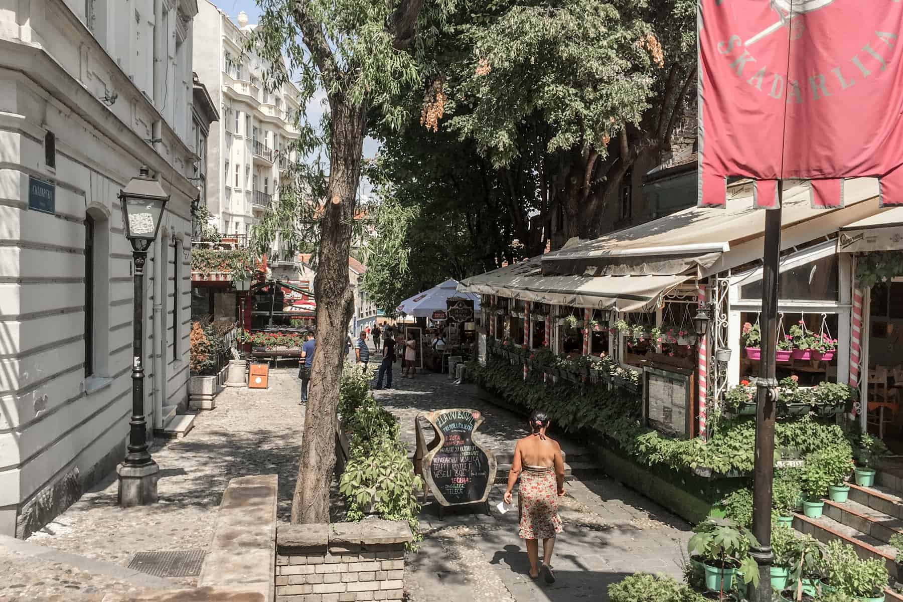 A woman walking through a cobblestoned street with a tree, with a white building on the left and a glass building covered in pink pot hanging flowers on the right.