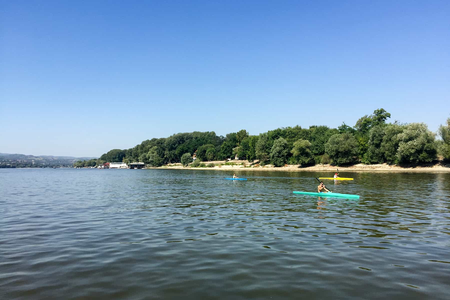Three people in blue, mint green and yellow kayaks gloat past a yellow sand, tree-filled island on the Danube River in Serbia.