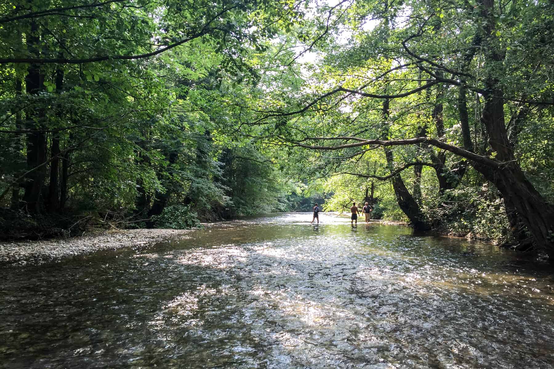 Three people wading through a shallow river in a forested gorge in Serbia. 