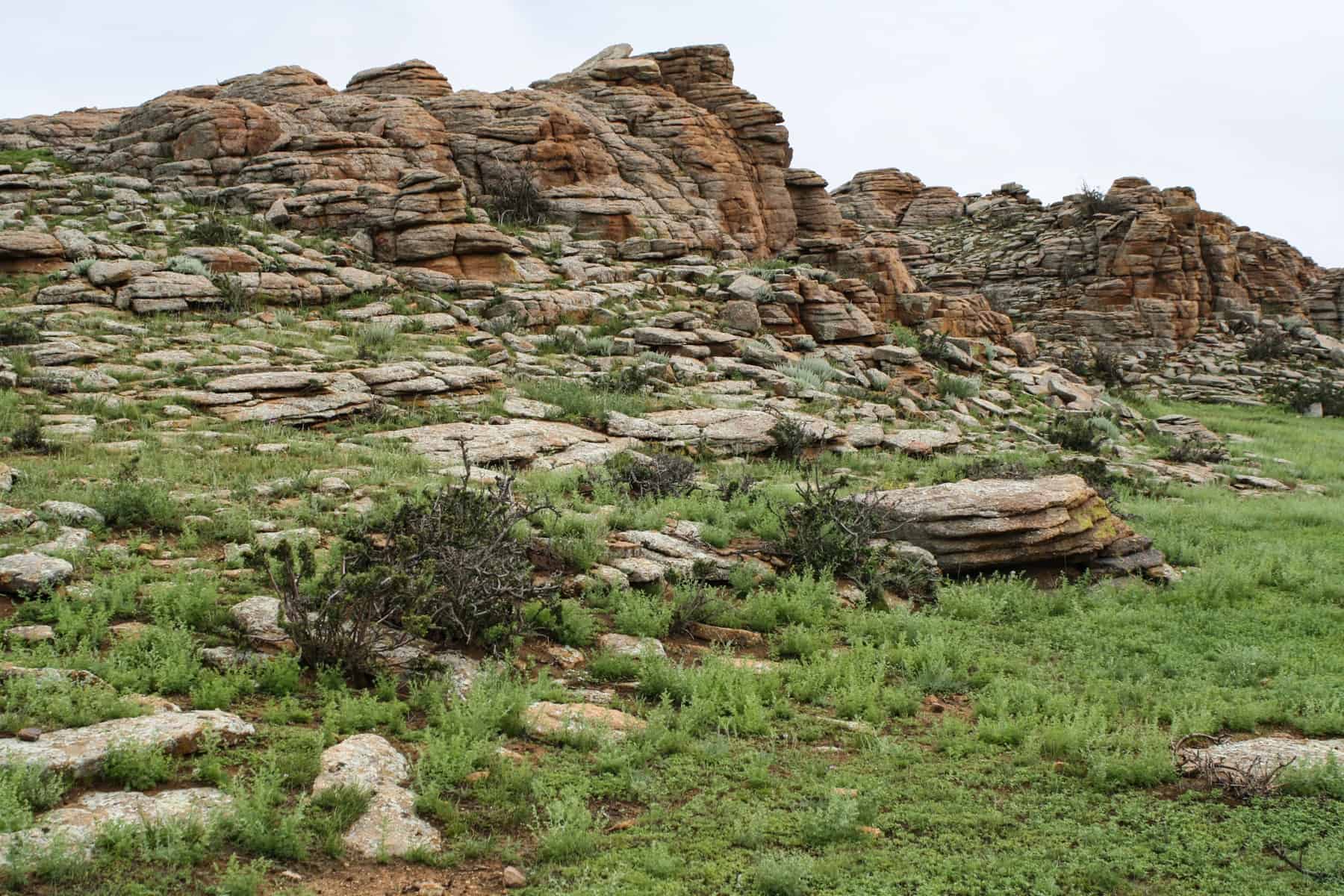 Layers of of Baga Gazryn Chuluu rock formations in Mongolia poke out of the grassy slope