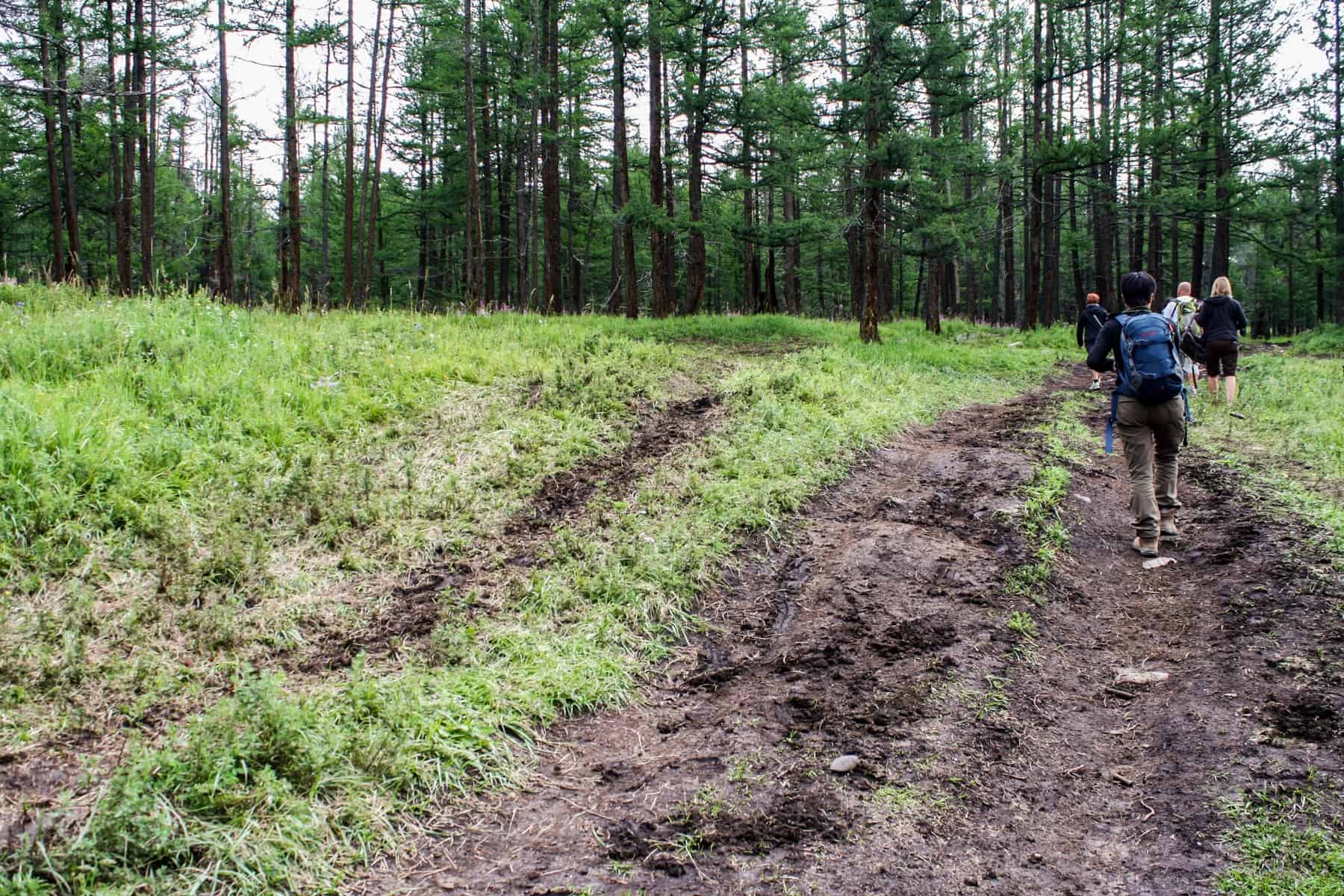 a small groups of travellers hike in the forest of Orkhon Valley Mongolia