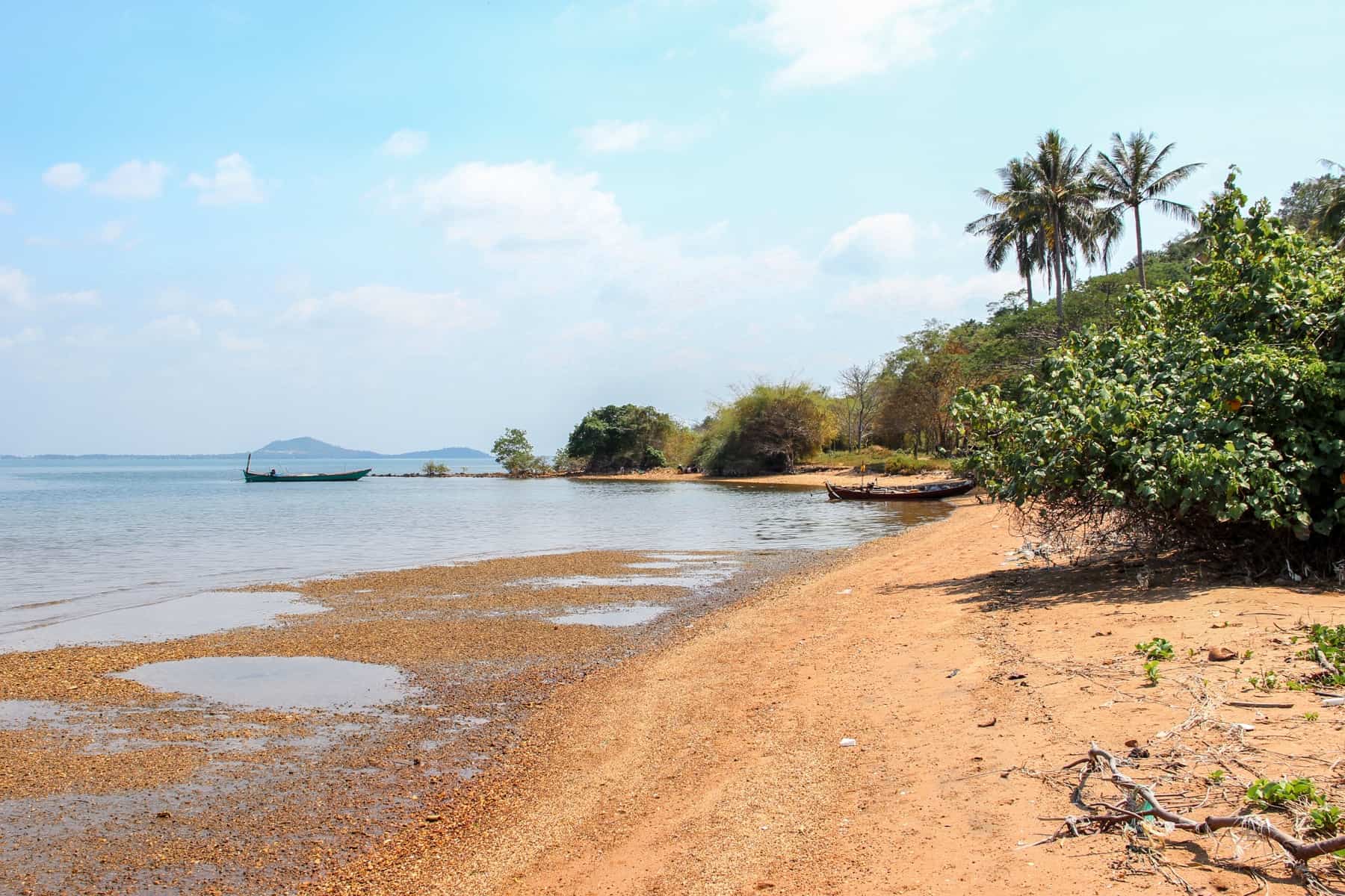 An isolated orange sandy beach, backed by lush green forest forna to the right and calm sea to the left