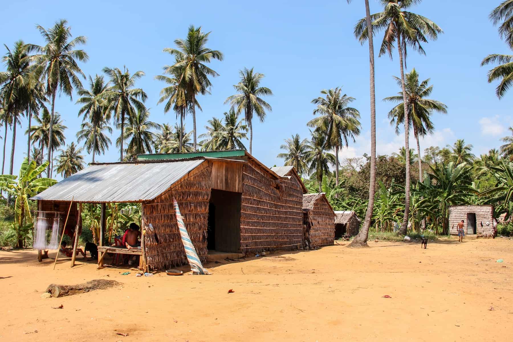 A large wooden hut and two smaller wooden huts mark the homes of local fisherman on the sandy coastline, backed by tall palm trees