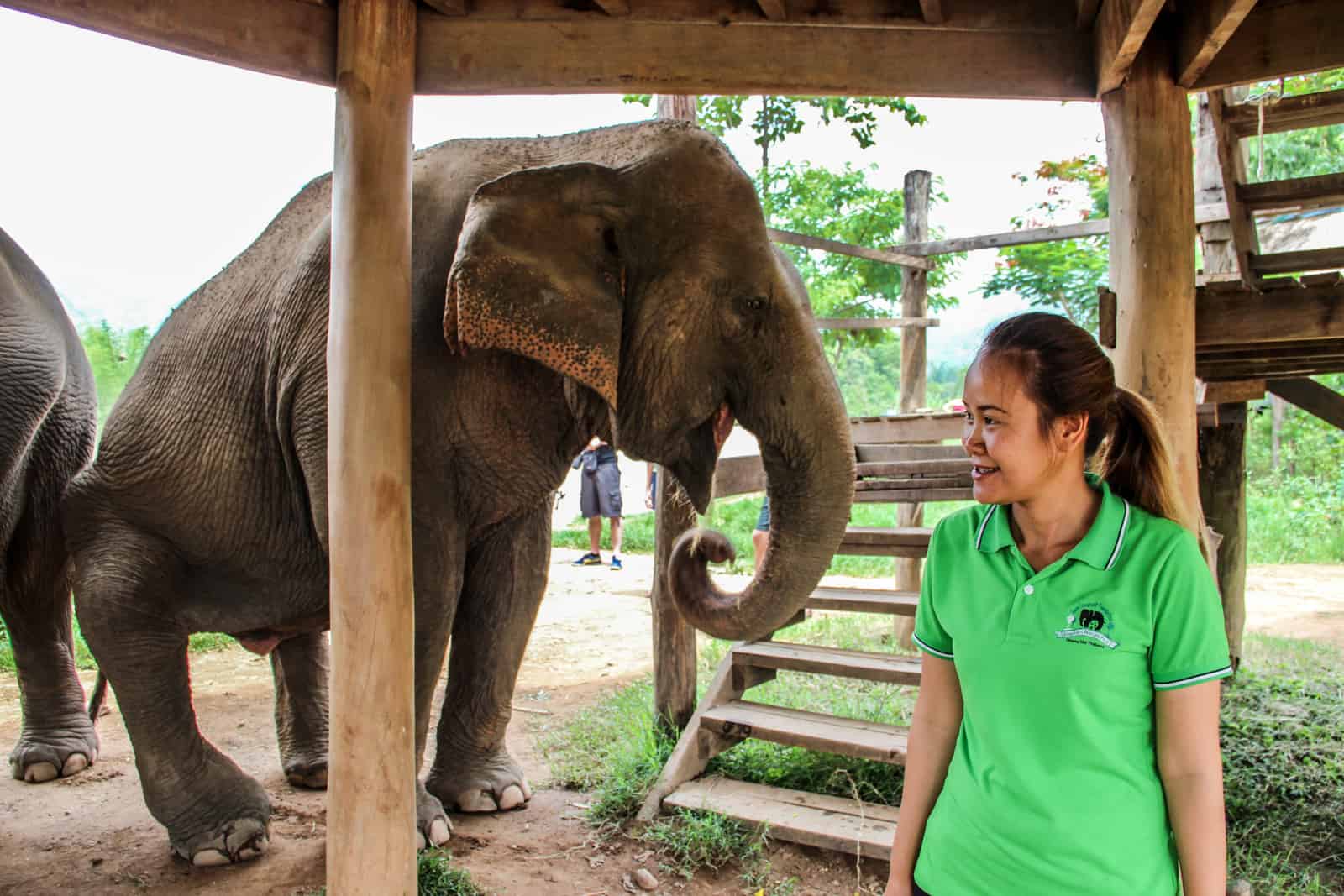 A guide stands in front of an elephant at the Elephant Nature Park in Chiang Mai, Thailand.