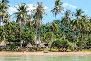 The wooden hut and palm tree lined and jungle backed sandy coastline of Rabbit Island Cambodia